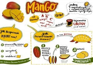 instrukcja-mango_1.jpg